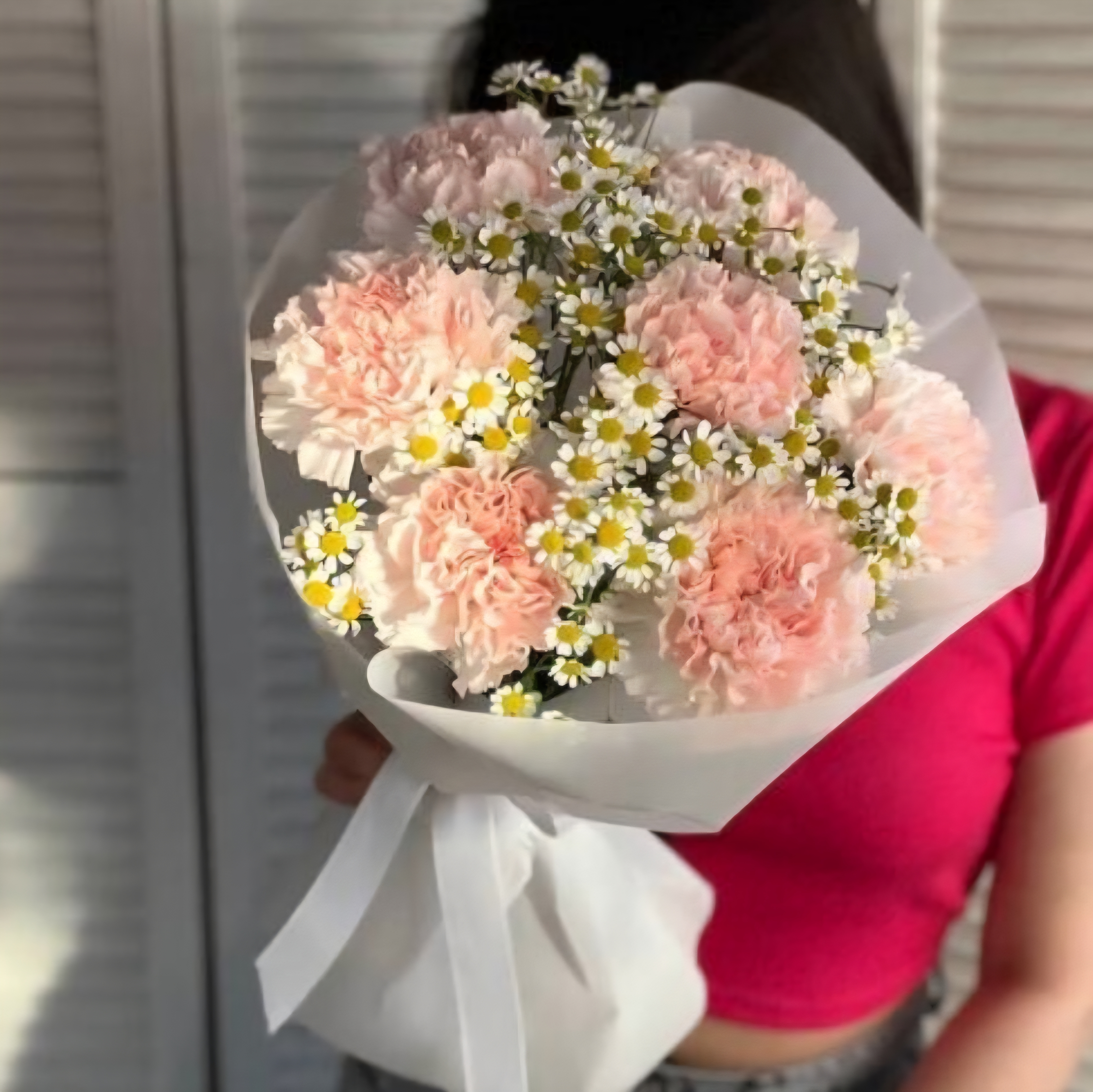 Диантусы с ромашками