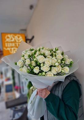 Жемчужная россыпь