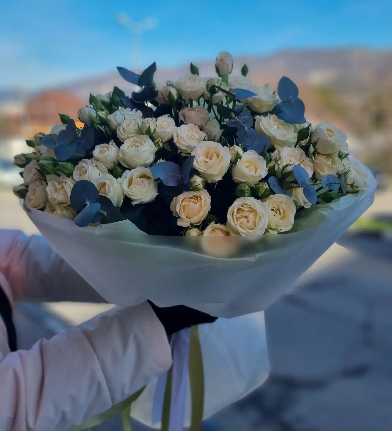 Жемчужина моря