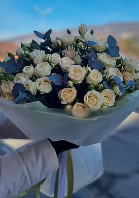 Жемчужина моря