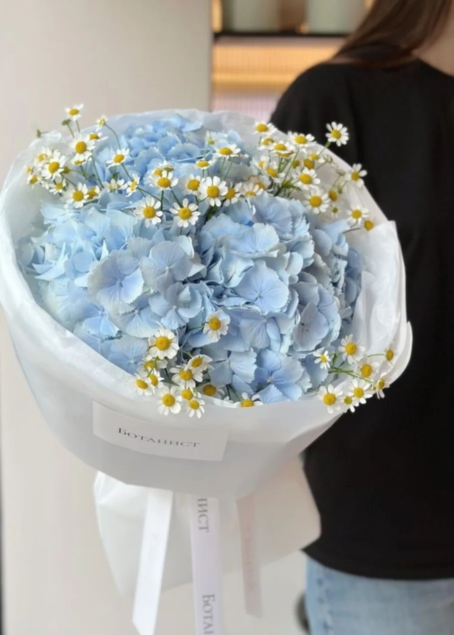 Небесная гортензия