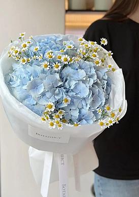 Небесная гортензия