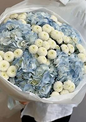 Дуэт Гортензий и Ньютона