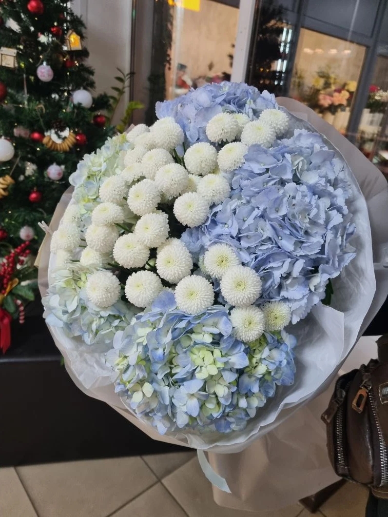 Дуэт Гортензий и Ньютона