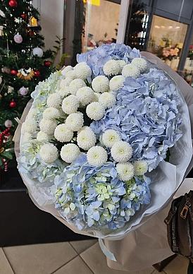 Дуэт Гортензий и Ньютона